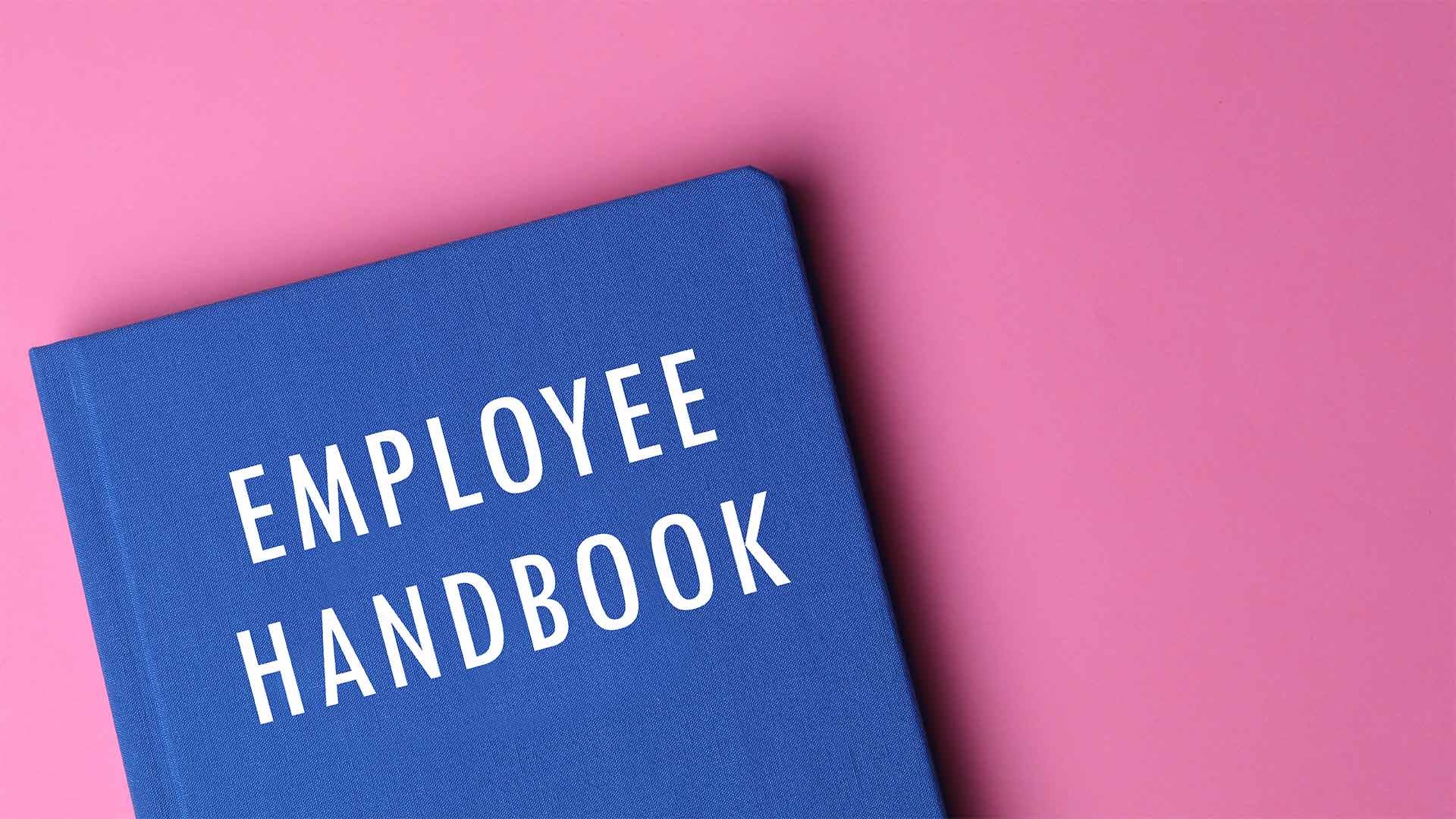 Gnc Employee Handbook Pdf